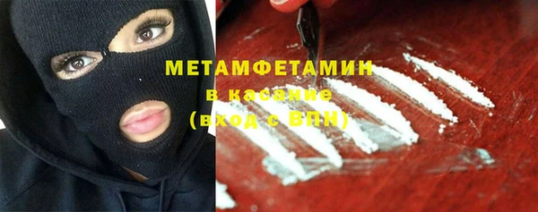 крисы Сатка