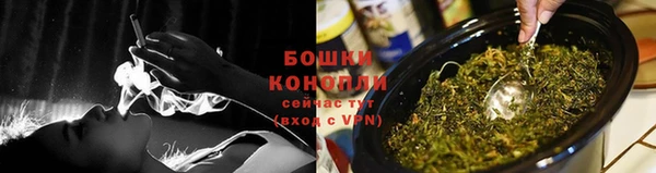 PSILOCYBIN Богородск