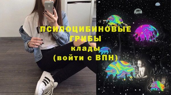 PSILOCYBIN Богородск