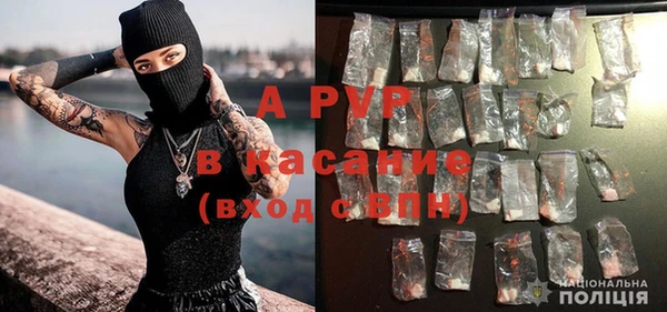 PSILOCYBIN Богородск