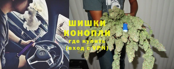 PSILOCYBIN Богородск